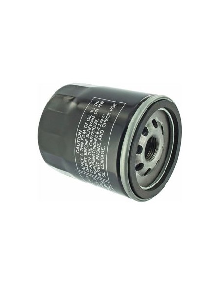 Filtro de Oleo B§S Vanguard