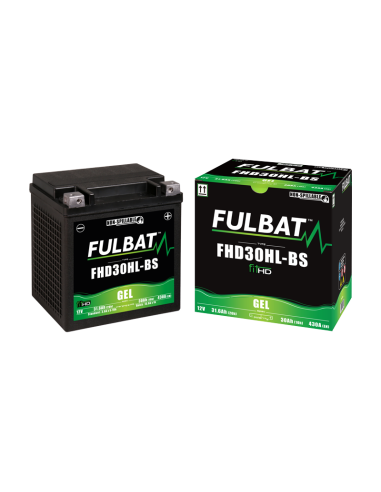 Bateria Fulbat FHD30HL-BS