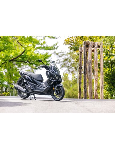 Cyclone RT1