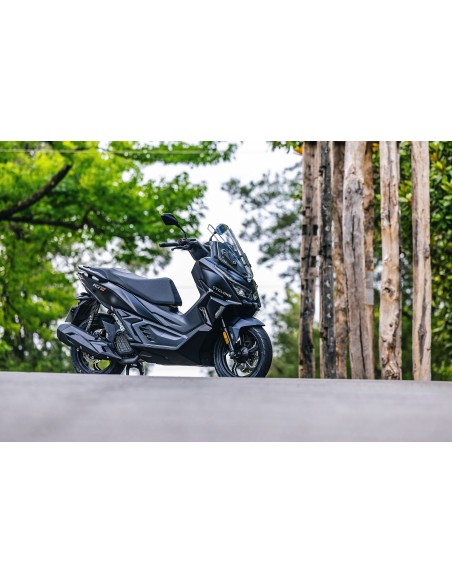 Cyclone RT1